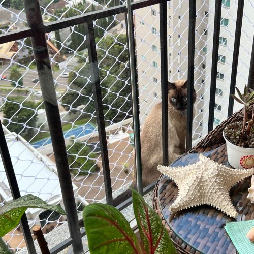 Rede de Proteção em Sacada